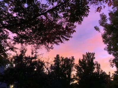 Imagen de una puesta de sol con árboles