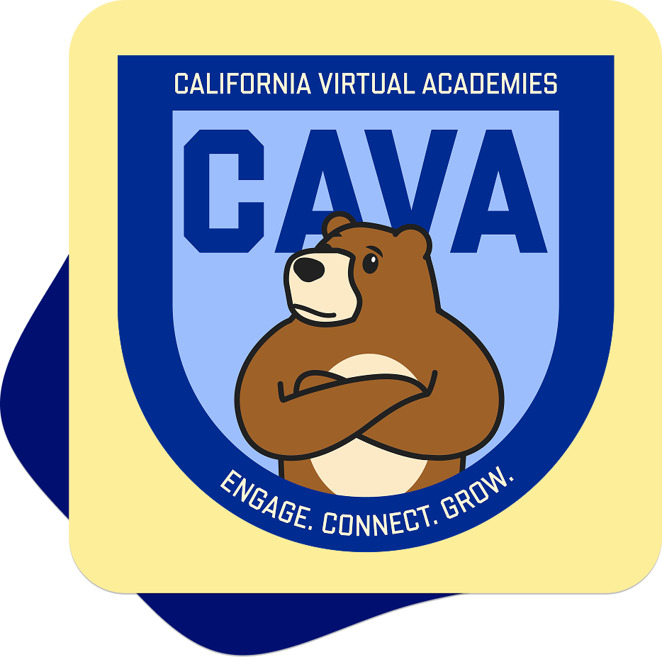 Imagen de la mascota CAVA Bear